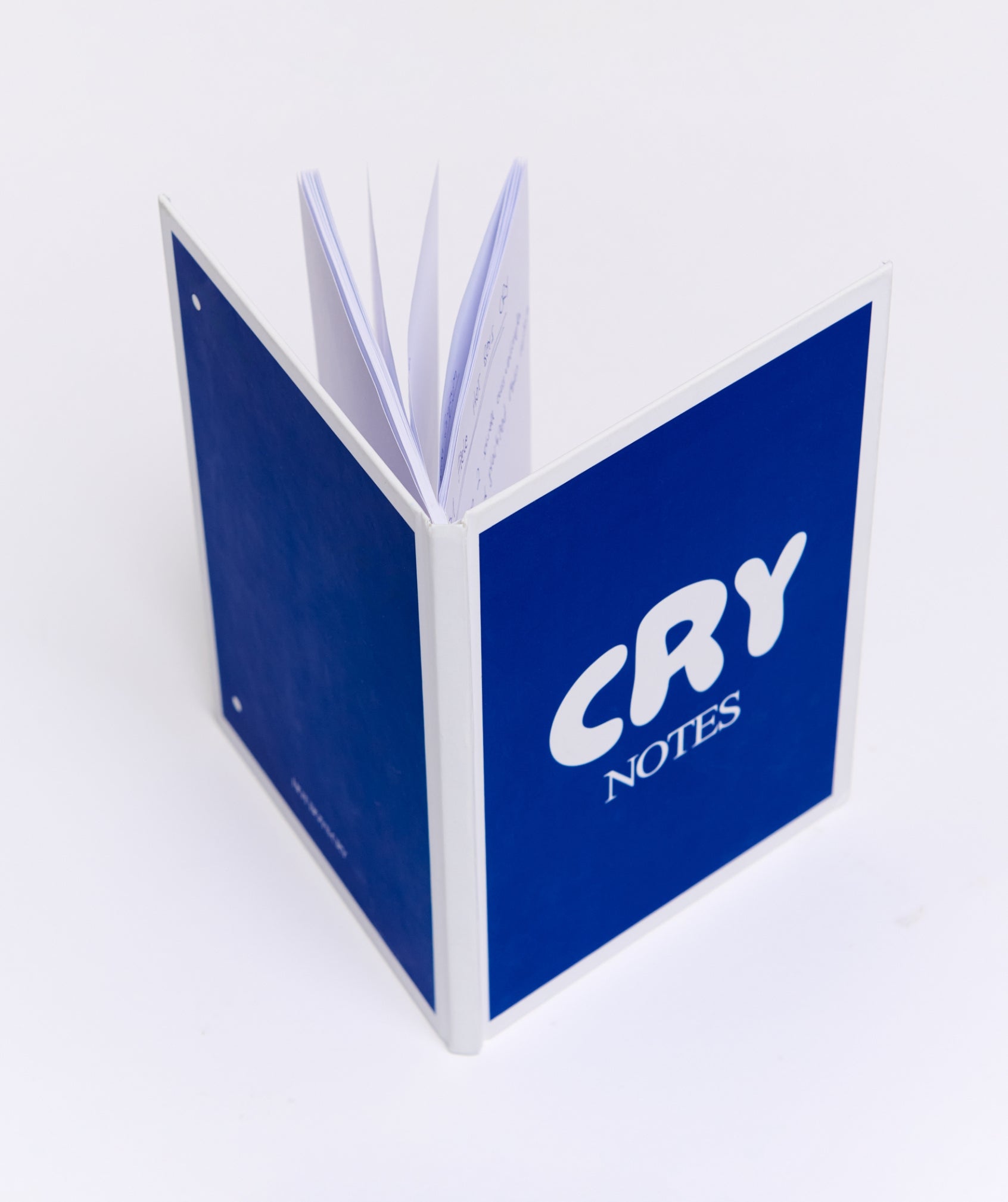 Therapy Journal